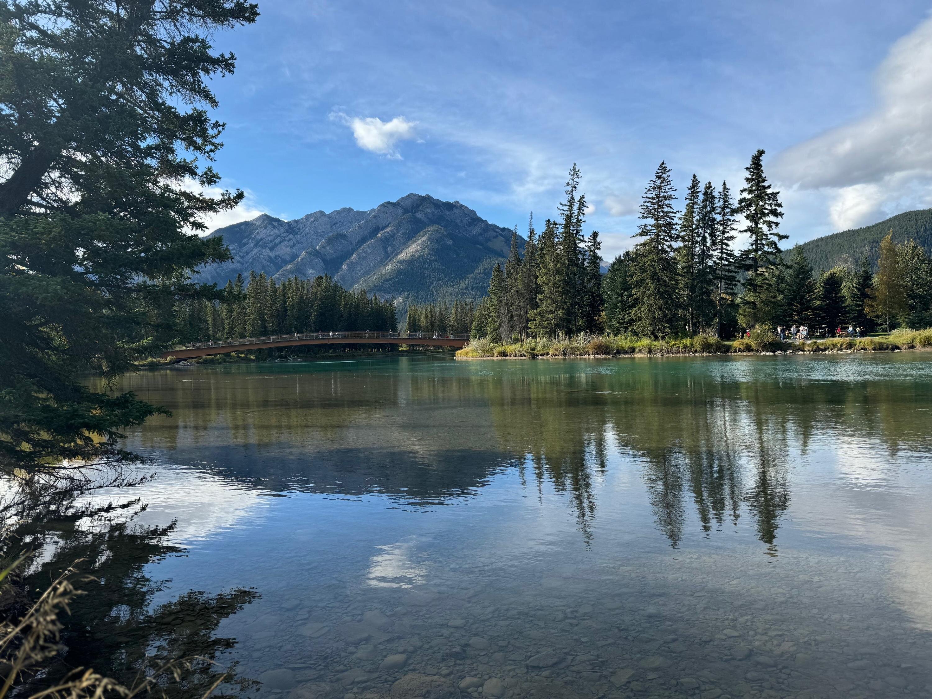 Kristina Bosch cover photo