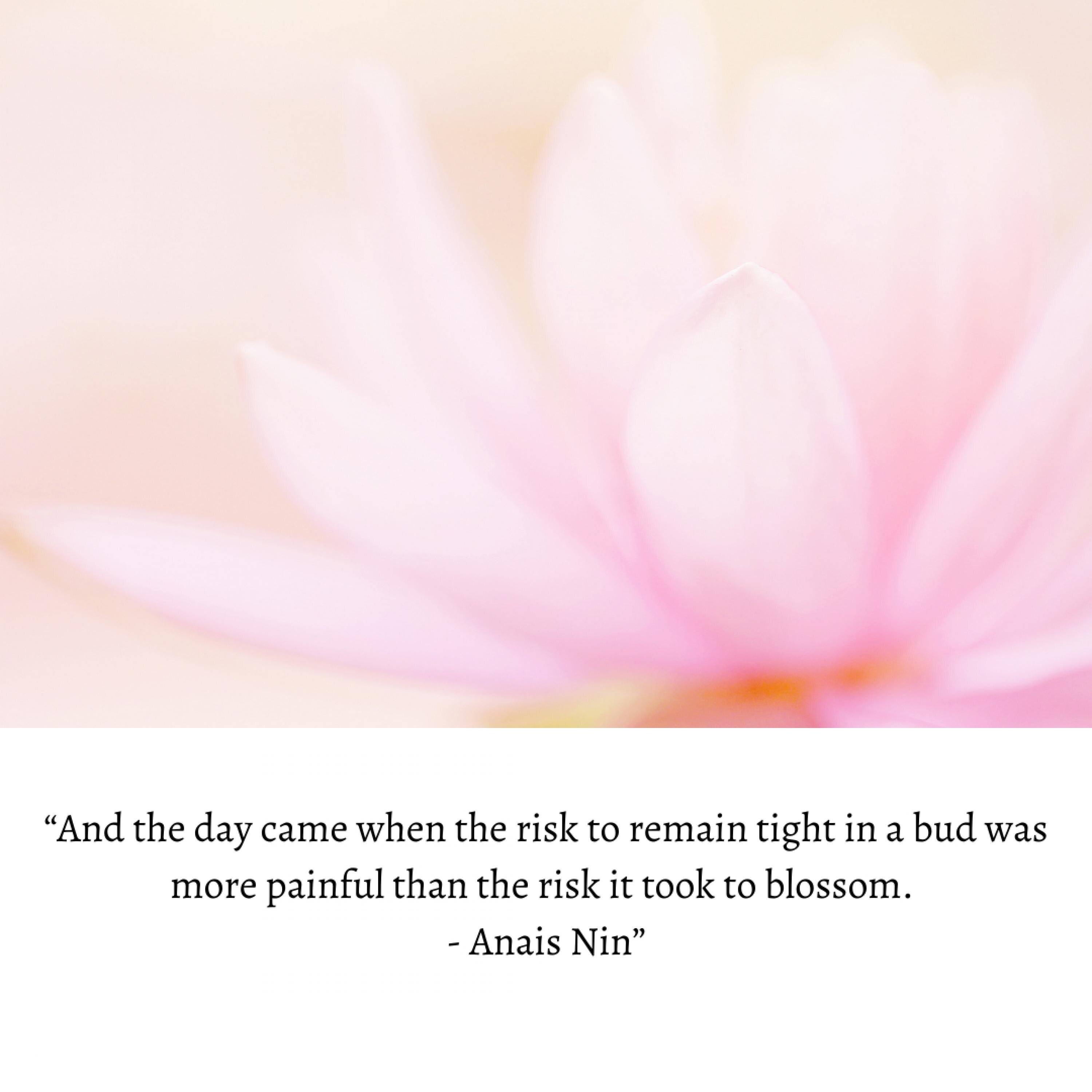 Ally Ayala cover photo