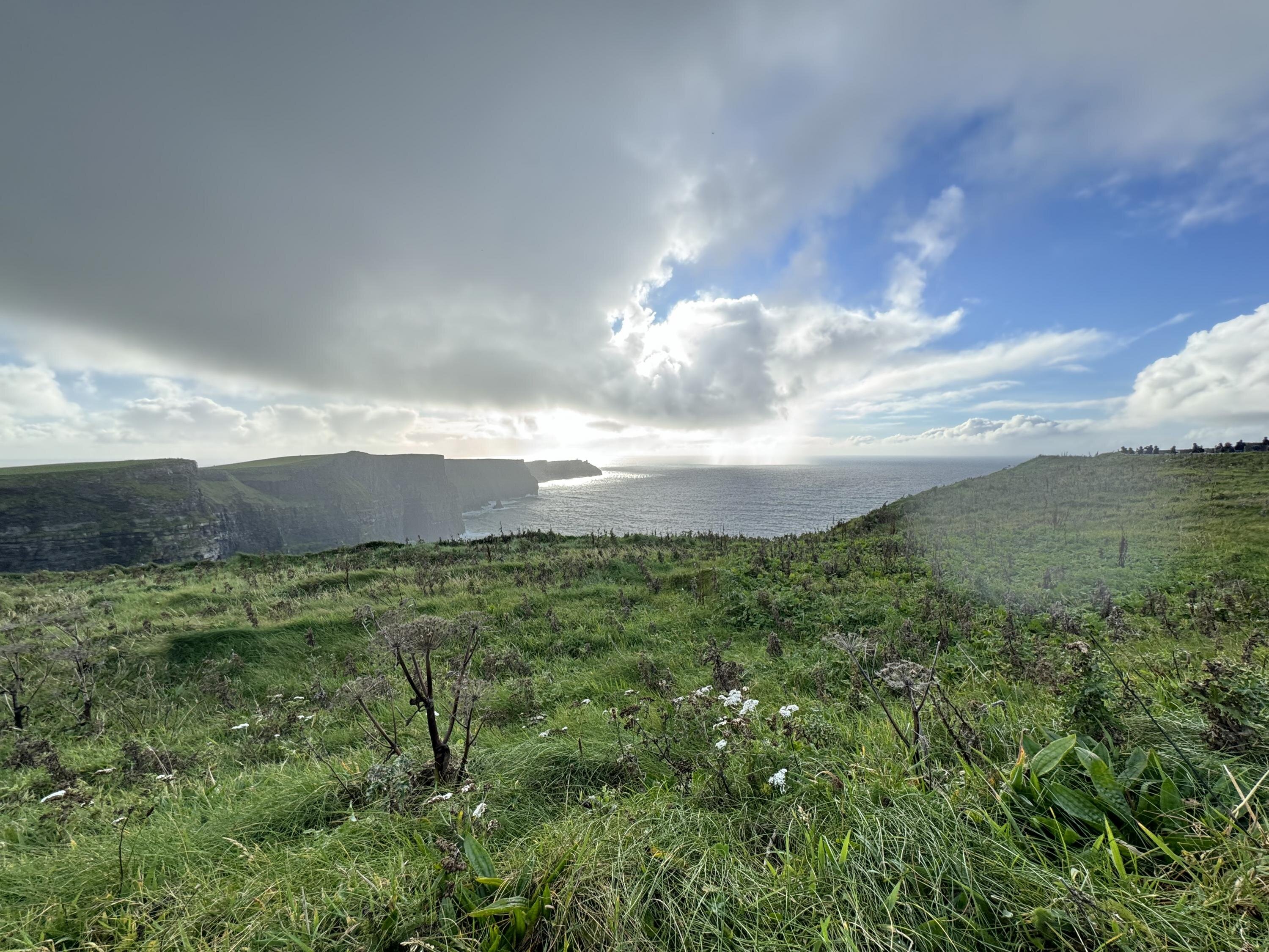 Lisa Tedori cover photo