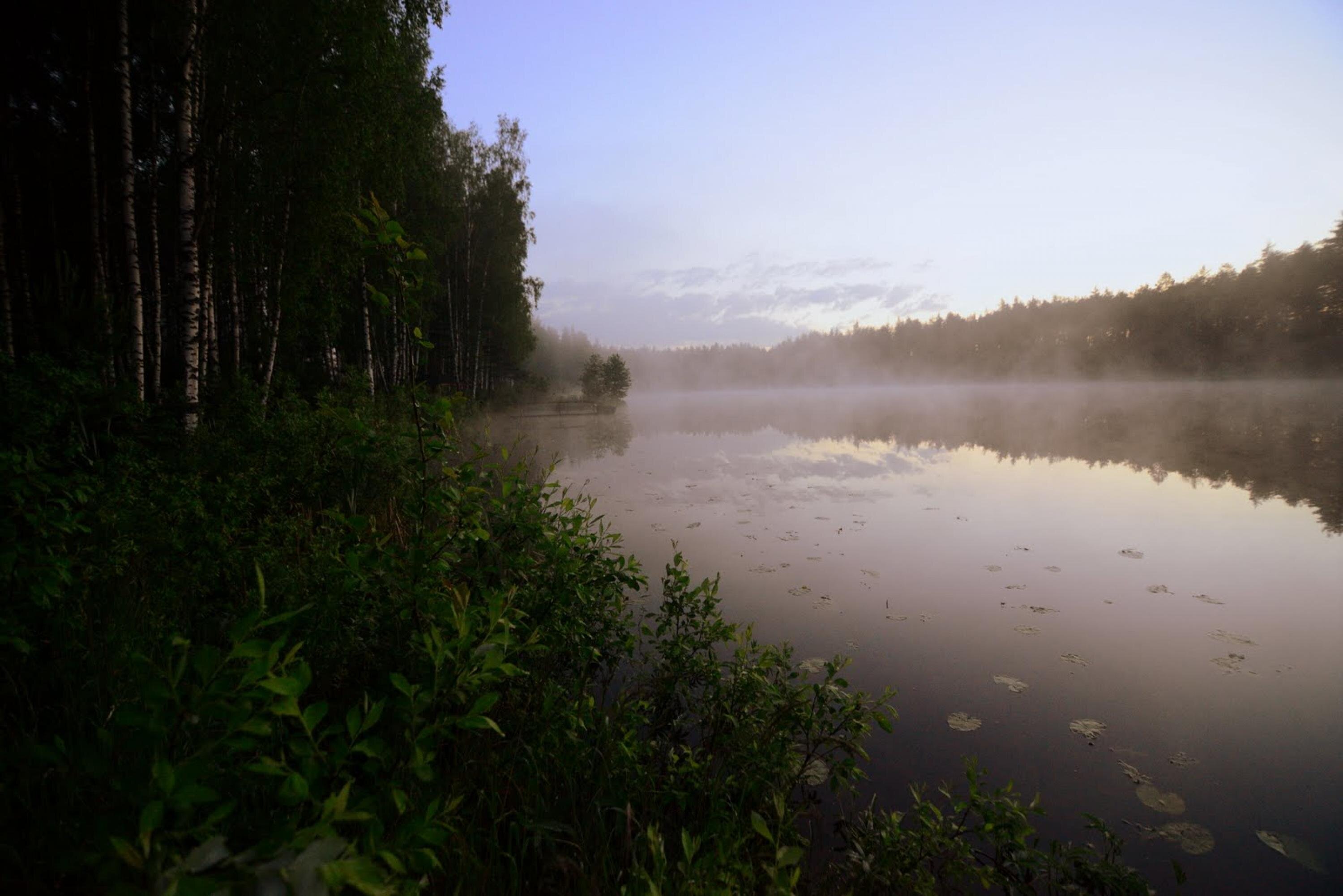 Marija Sribna cover photo