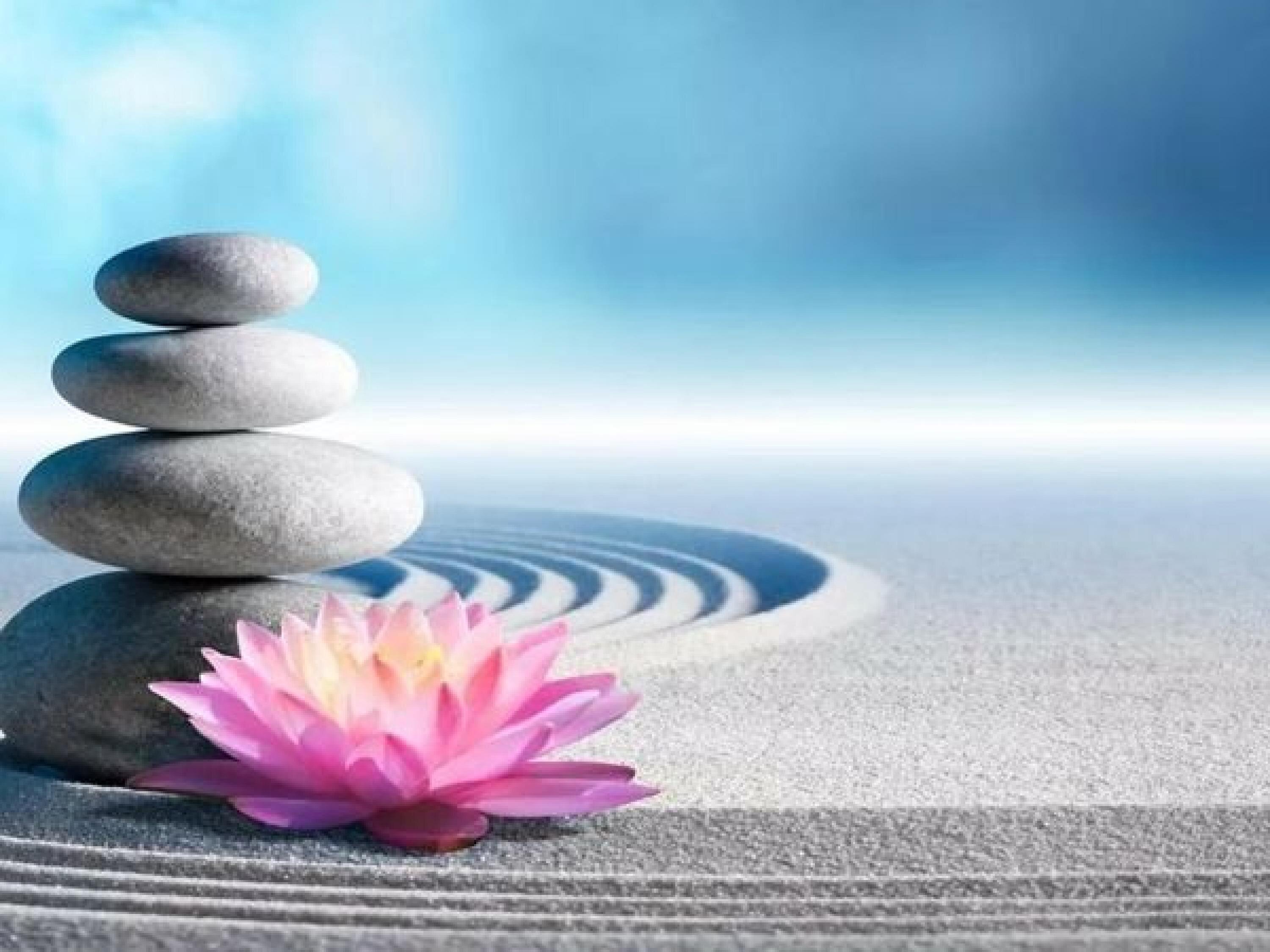 Zhanna Burym cover photo