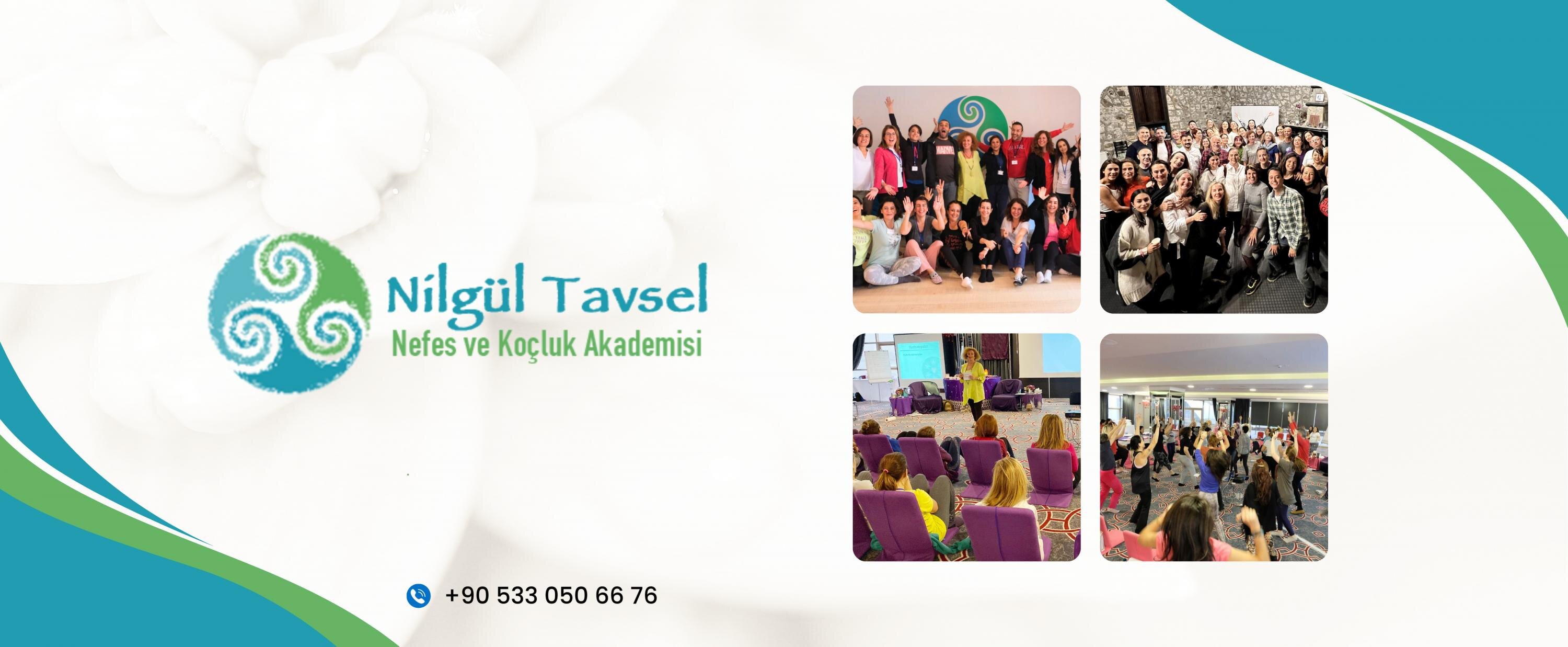 Nilgül Tavsel cover photo