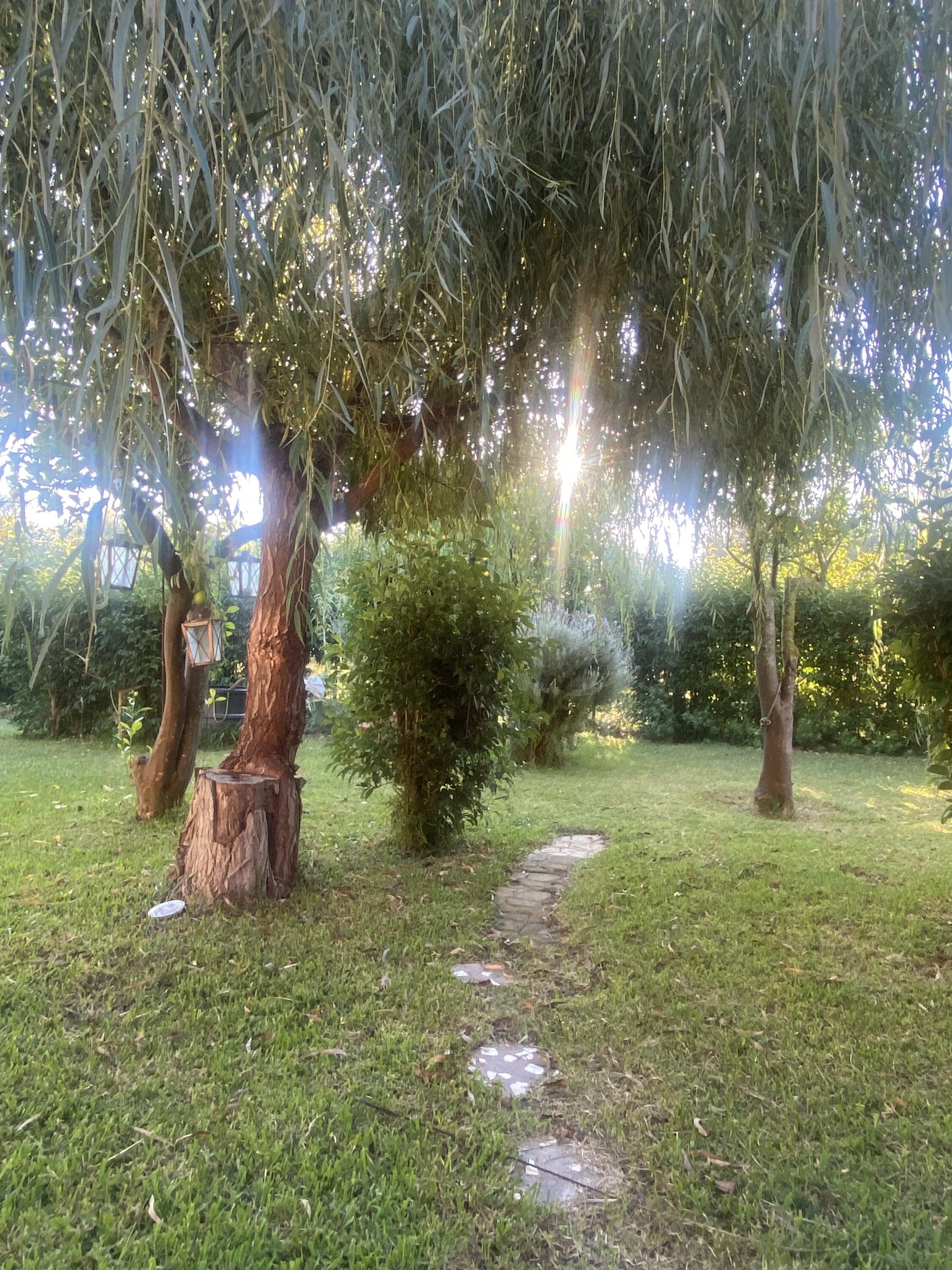 Styliani Spiliopoulou cover photo