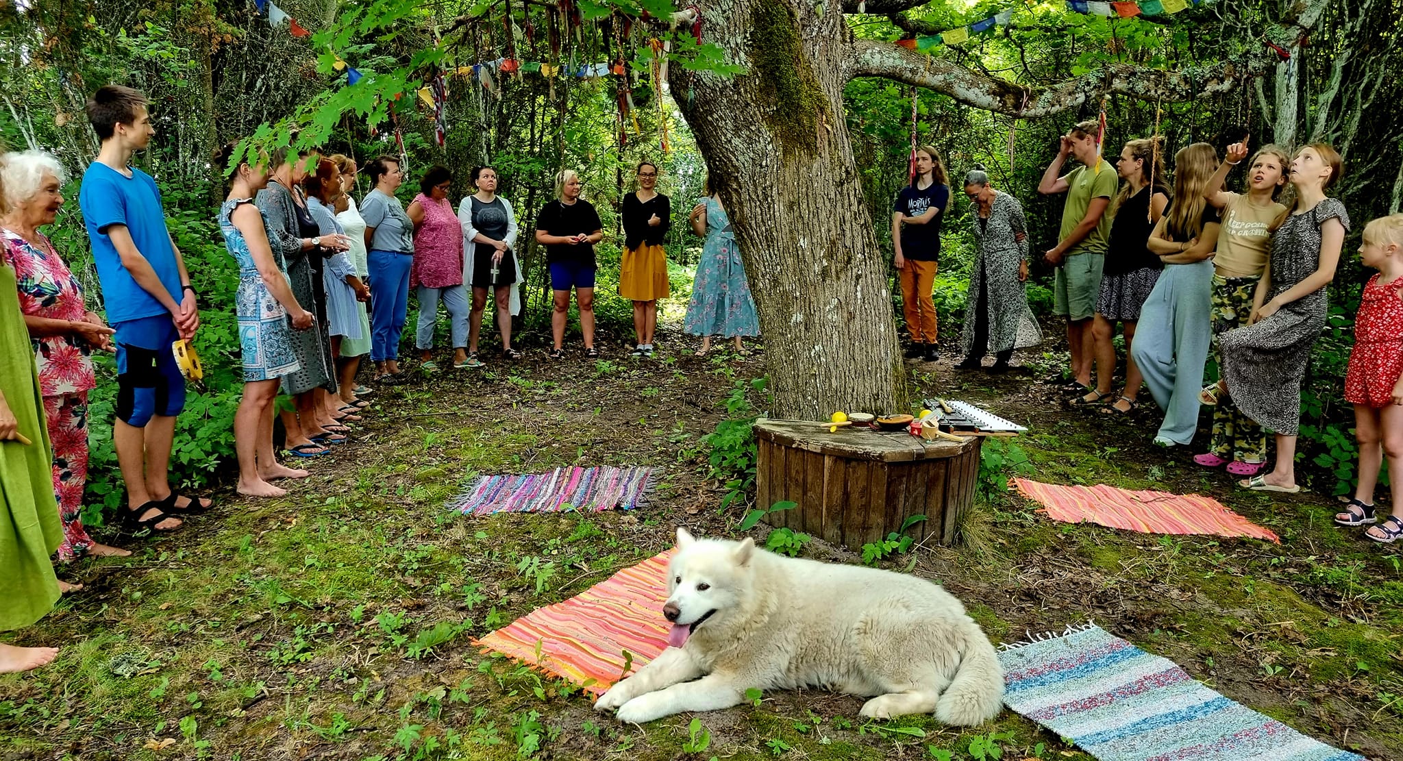 2024 AF puu all ringis Joyga