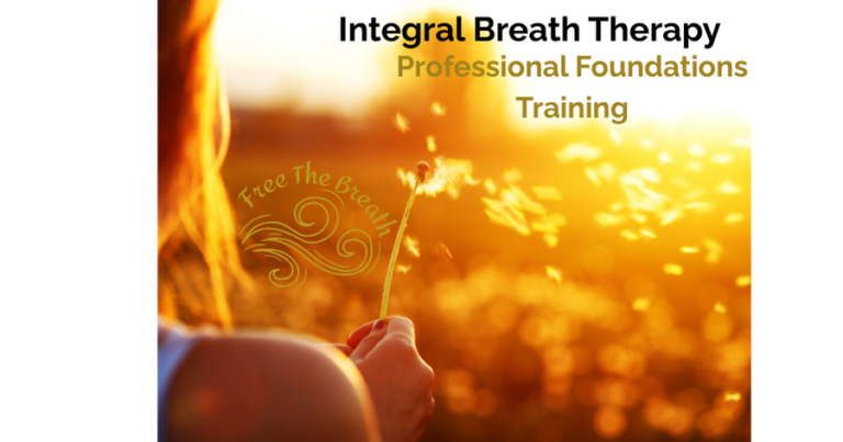 IBT Training A Wix 1200 x 630 px 768x403