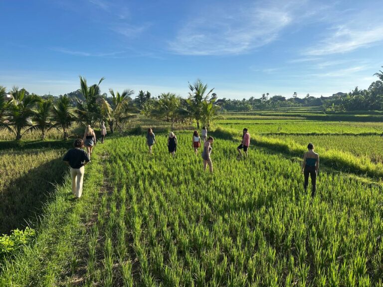 WhatsApp Image 2026 02 28 at 10.39.00 768x576