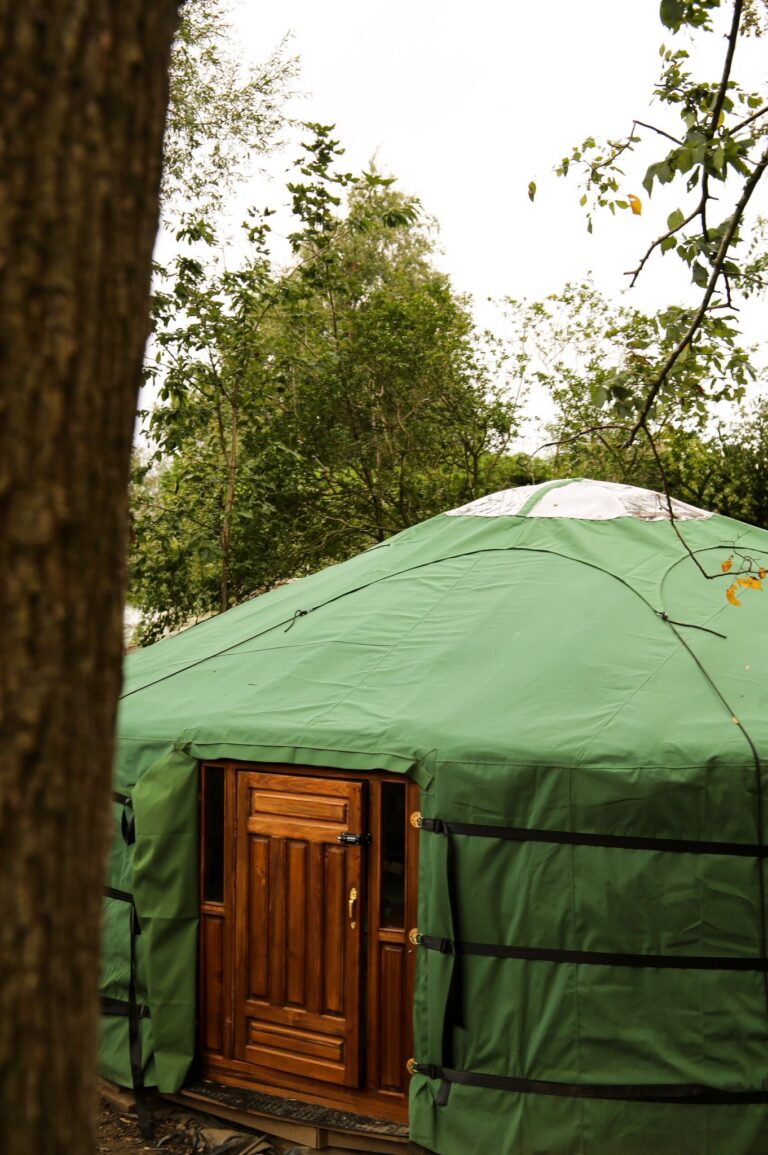 4aae9441 5fd7 4d40 86be 71169a1ed379 768x1155