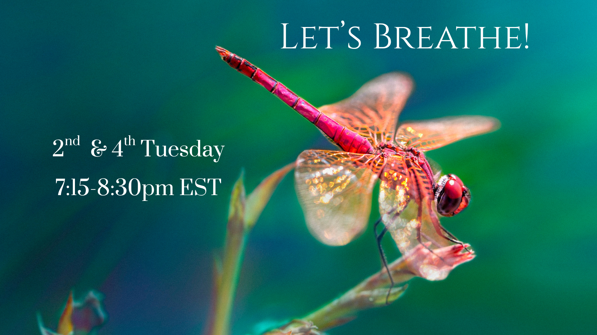 Let’s Breathe! Virtual Breath Series