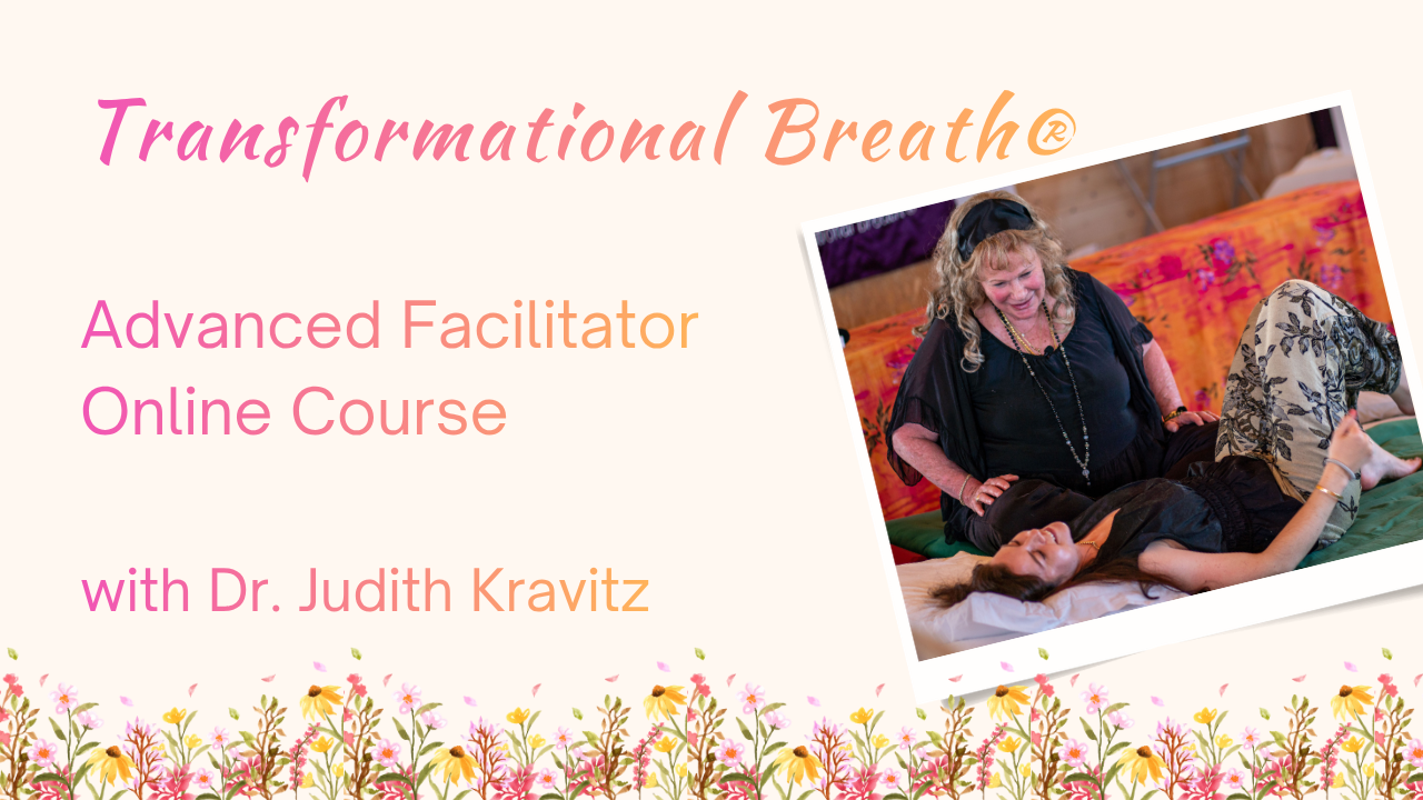 Advanced Facilitator Course, Level 4B